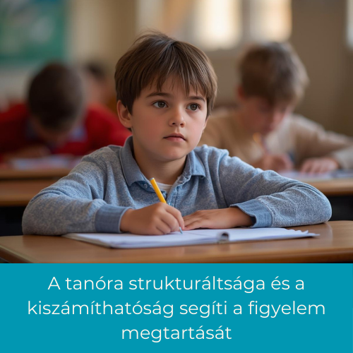 Útiterv és visszajelzés